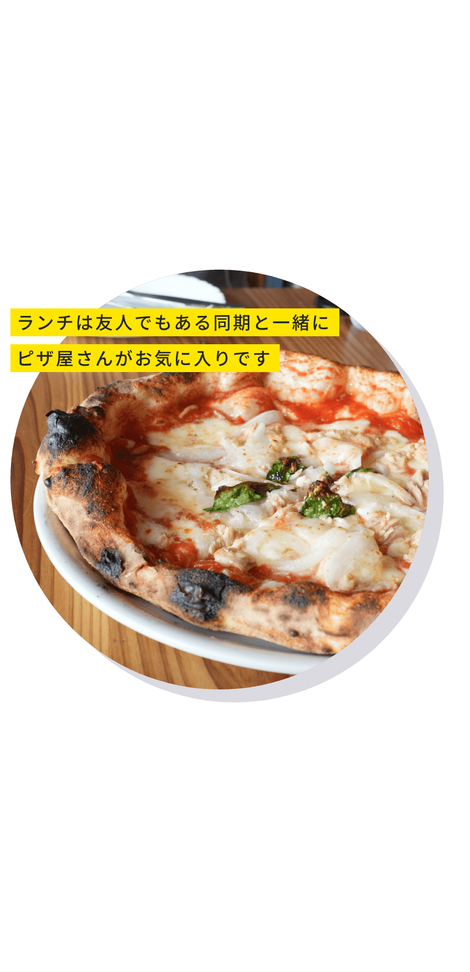 スケジュール