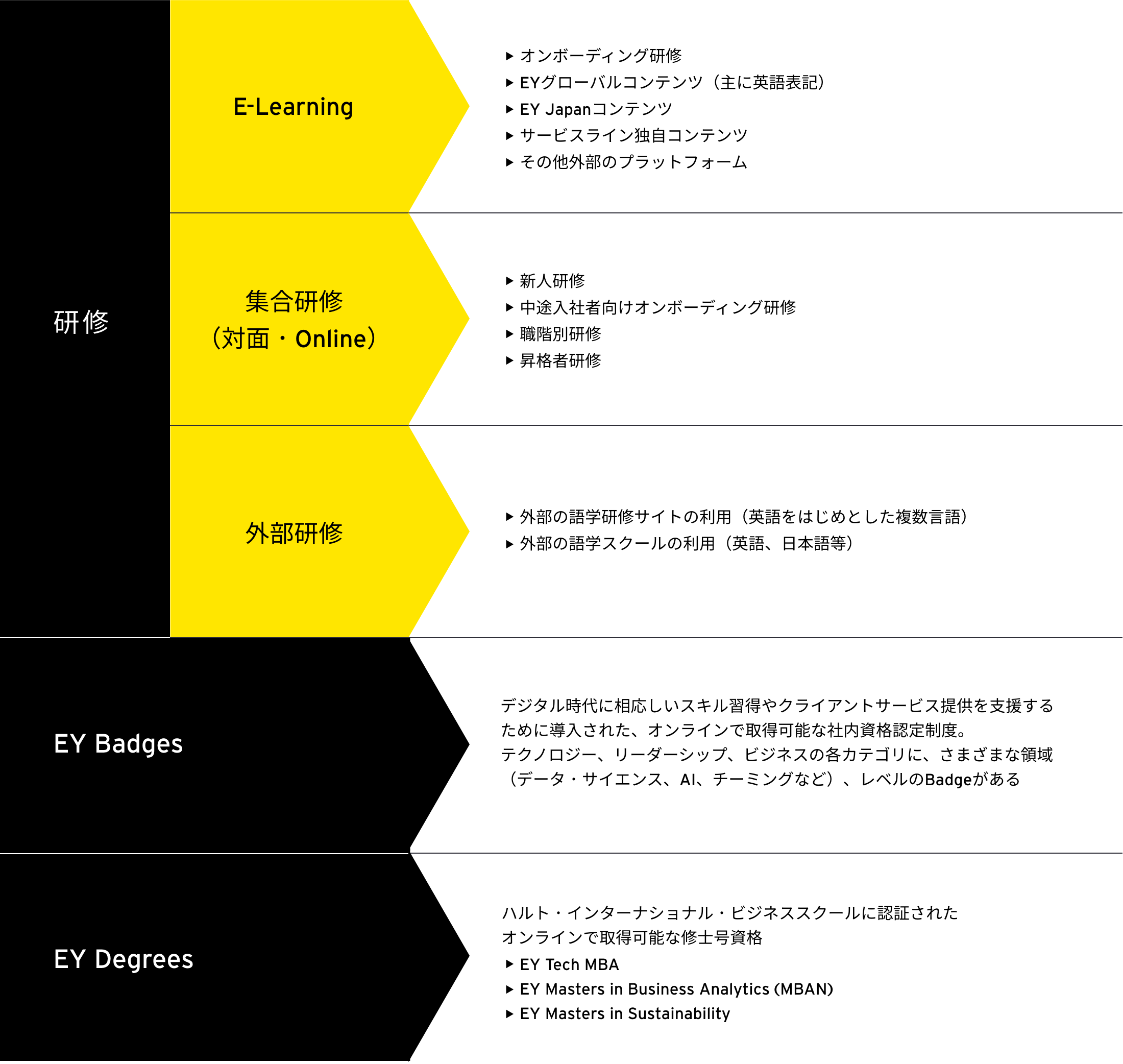 EYの豊富な研修・育成カリキュラム