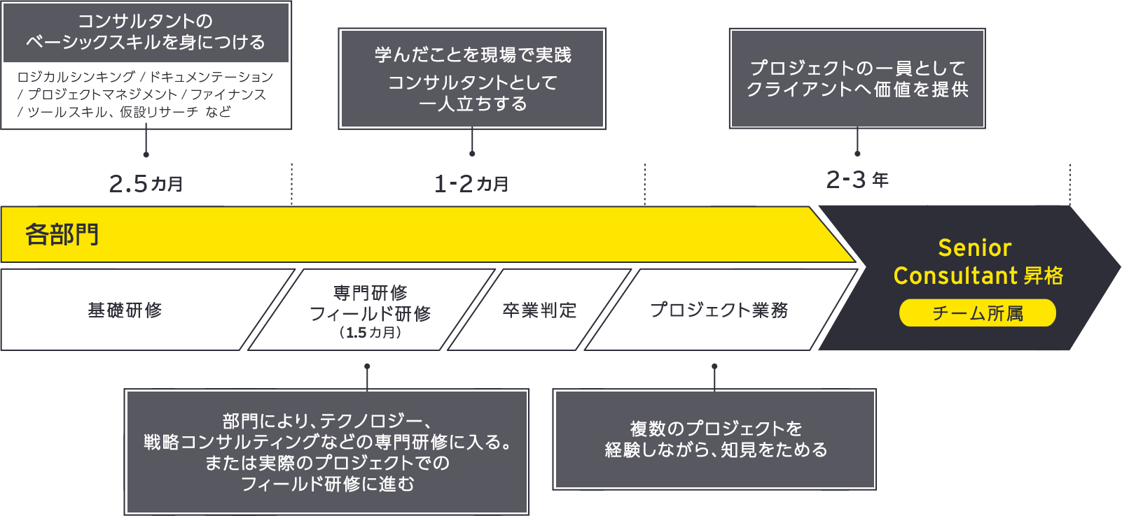 入社からコンサルタントまでの道筋